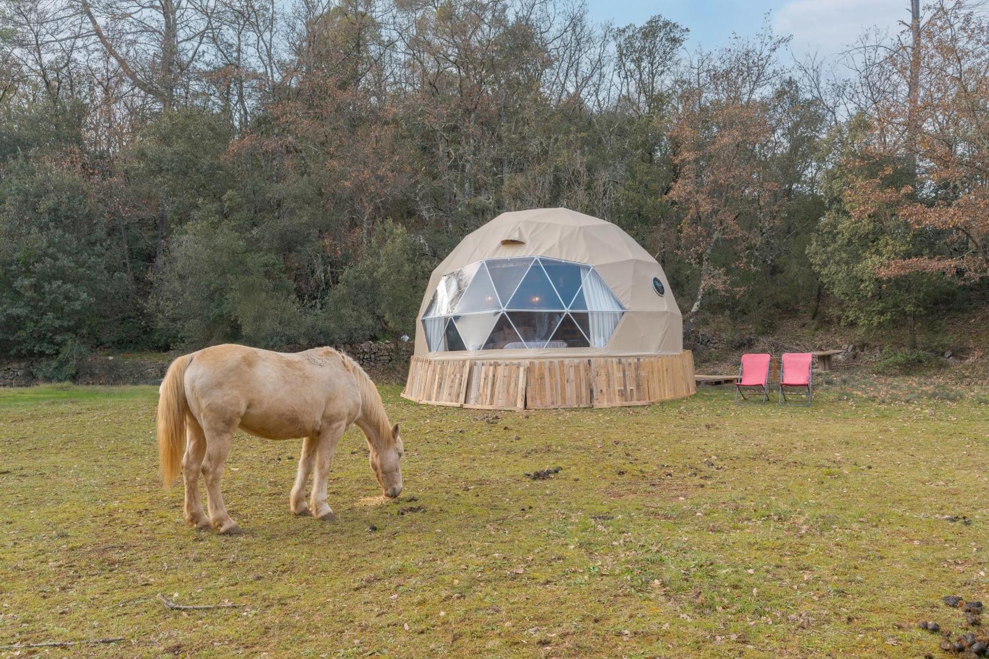 Varages La Cabane Aux Chevaux מראה חיצוני תמונה