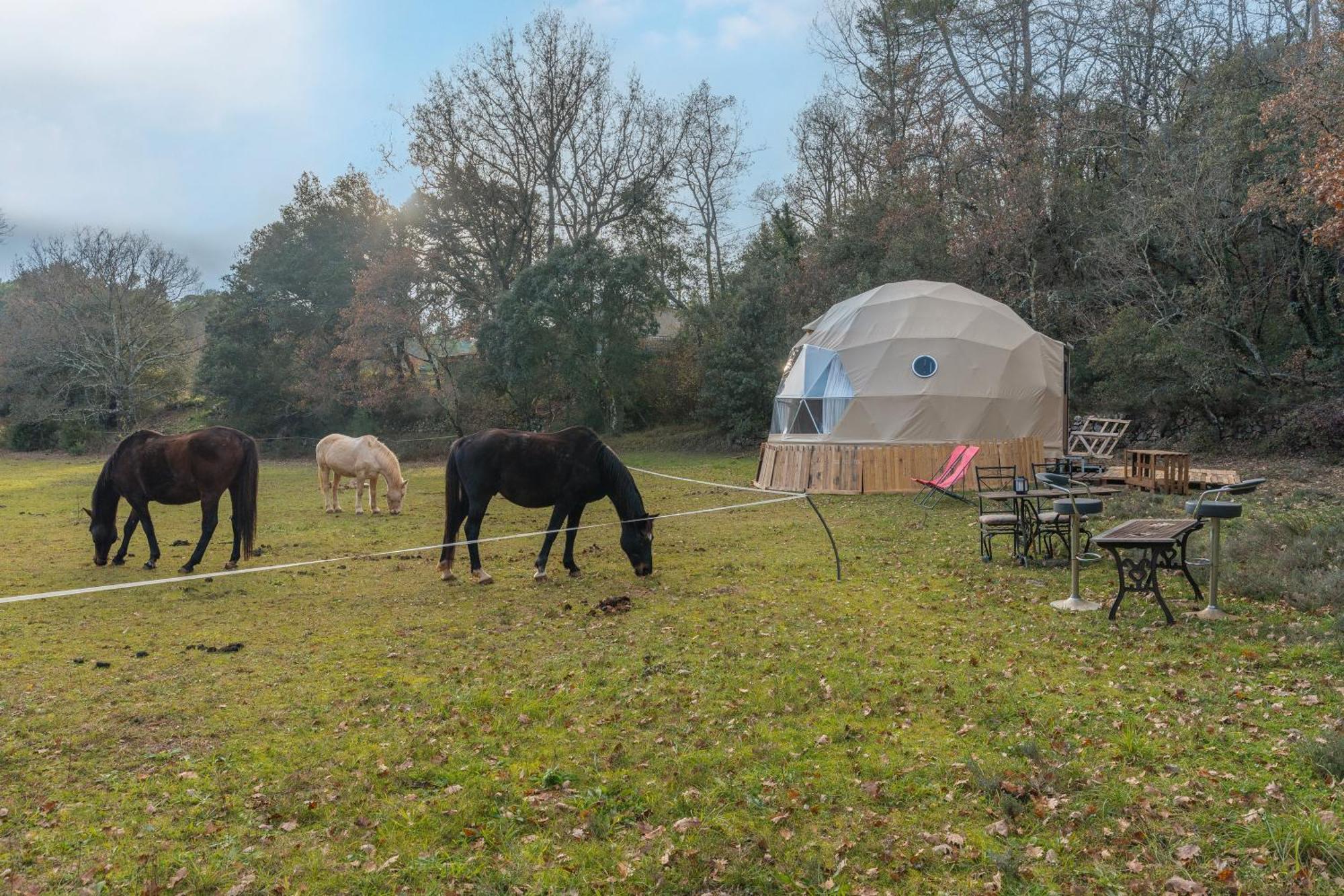 Varages La Cabane Aux Chevaux מראה חיצוני תמונה